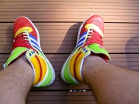 RAR!!!  Adidas Top Ten Hi bunt  ABSOLUT RAR TOP ZUSTAND!!!!!!