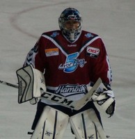 Hamburg Freezers 15/16 Trikot #30 Dimitrij Kotschnew - Hamburg Crocodiles - NEU