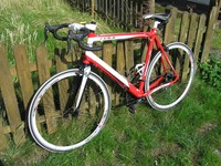 MONTANA RACE COMPETITION RENNRAD - GRÖSSE 60 RAHMENHÖHE