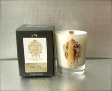 TIZIANA TERENZI CAPRI FIG VOTIVE CANDLE SINGLE WOOD STICK MINI NEW IN BOX