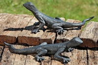 Gartenfigur Eidechse, Kunstharz, schwarz, Länge: 38/43 cm, Gecko