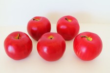 5 Eddie Bauer Home Store Faux Red Apples Fruit Delicious Fake Artificial Upscale