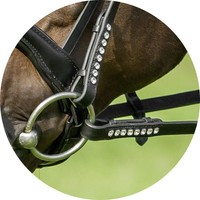 Reithalfter Trense  Titania  USG schwedisches Reithalfter schwarz Perlenbesatz