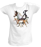 Damen T-Shirt 7622 Pferd 3 Pferde Horses Horse Western Pony Reiten Reiterhof 