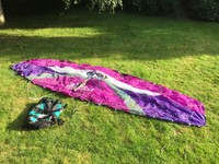 Powerkites Apex 2 5.0 qm Kite 