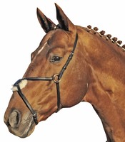 Reithalfter Mexiko, mexikanisches Reithalfter, Leder, schwarz Pony VB WB