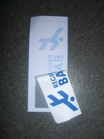 1x TSV 1860 München Regionalliga Bayern Badge Beflockung f. Trikot Spielertrikot