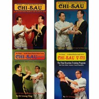 Wing Tsun CHI-SAU Leung Ting Collection Alle WT CHI-SAU