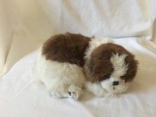petzzz shih tzu petzzz ebay petzzz shih tzu petzzz ebay