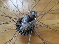 Laufradsatz Campagnolo 36L 700c Rennrad LRS Vorderrad Hinterrad VR HR Clincher