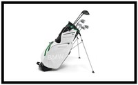 Original BMW Golfsport Golf Tragebag Carry Bag Tasche 80222285762 NEU 