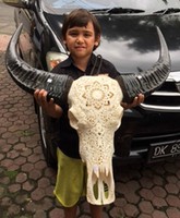 Büffelschädel Stierkopf Longhorn Schnitzerei - Kollektion 2016 FRÜHBUCHERANGEBOT