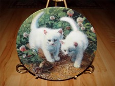 Amy Brackenbury's Cat Tales Collection, A Chance Meeting, White Cat Kitten Plate
