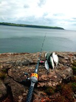 Kajak ROD ROD INFLATABLES KANU ROD Schlauchboot BOAT ROD BASS ROD Tragbaren Tele