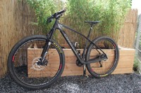 Orbea Alma M50 29er - Carbon - Gr. M