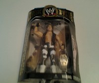WWE Jakks Classic Superstars S 6 HBK Shawn Michaels mit IC Title