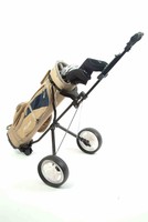 RIVAL Golfschläger, Golf Damen Golfset, inkl.Wagen  RIVAL-CART-Lady