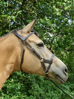 Sidepull „RH-Empathia“ Soft Gel Anatomisch Genick Gebisslos Leder Kopfstück