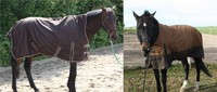Highneck Regendecke Weidedecke Fleece Outdoordecke Pferdedecke Transportdecke EC