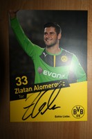 Autogrammkarte Zlatan Alomerovic Borussia Dortmund BVB 2013/2014 signiert