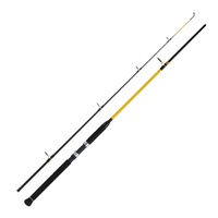 WFT Never Crack Big Fish 2,10m 150-700g Norwegen Rute