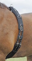 Busse Longiergurt Profi-Soft Farbe schwarz Pony oder WB