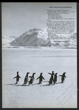 1976 Antarctica penguin photo Steinway piano vintage print ad