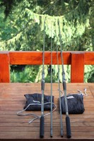 2 Daiwa Diktotor Whisker Kevlar Carp 12 Fuss 2,5 Lbs. NEU