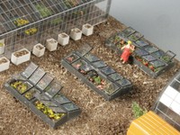 Frühbeet 6 Stück , Bausatz, Spur N,1:160