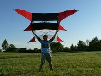 EINLEINER   CODY EXTREME Drachen