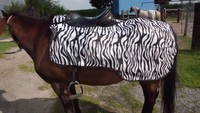 Busse Zebra Fliegenausreitdecke Größe 145 Modell FLYRIDER