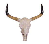 Deko Stier Schädel Kopf Skull Wanddeko Geweih 73,5x74 cm