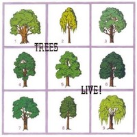 Trees / Live! - LP