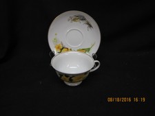 Danbury Mint Wildflowers of America (Rosenthal) Cup/Saucer - Great St Johnswort