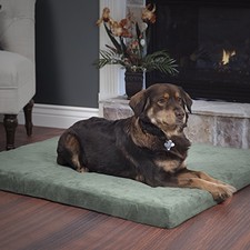 Medium Orthopedic Medical Caliber Foam Pet Dog Bed - Zippered Cover Faux Suede