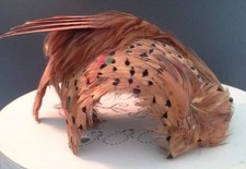 Vintage Pheasant Feather Women's Hat (c.) 1950