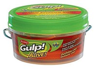 Berkley Gulp Alive Sandworm Seeringelwurm verschiedene Farben