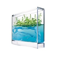 Ameisen Plantage mit Gewächshaus Samen & Ameisen Aquarium