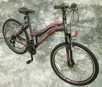 26_ZOLL_DAMEN_MOUNTAINBIKE_GEFEDERT_21-GANG_SHIMANO_NEU_2648-GRAU