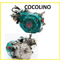 Kartmotor Motor DM 200cc Evo2 5KW - mit Pleuelager kart engine moteur