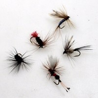5 hochwertige Trockenfliege oder Nassfliegen von Behr  Nymphe Fliegenfischen