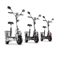 ELEKTRO SCOOTER E-SCOOTER 40KM/H CITY ROLLER ELEKTROROLLER TAKIRA TANK 3 FARBEN