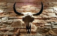 Stierkopf Geweih Büffel Schädel Figur Stier Bulle Wand Deko Kunstobjekt Natur 