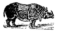 Rhino Rhinoceros rubber stamp animal endangered