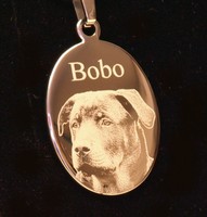 Ovaler Fotoanhänger Edelstahl poliert  mit Fotogravur auf Wunsch mit Kette