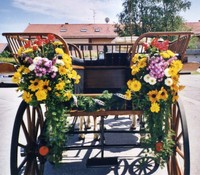 Kutsche, Pferdekutsche, Echtholzkutsche, Linzer-Wagonette, Esche