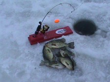 ice fishing tip ups