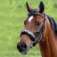  Waldhausen Kappzaum, Leder Longierkappzaum 