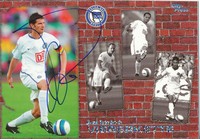 Arne Friedrich   Hertha BSC Berlin  Trading Card - 168843