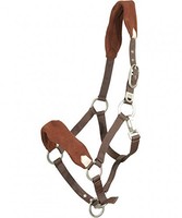 PFIFF Soft-Halfter, schwarz Pony NEU Halfter